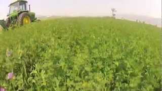 JD 4230 with 945 MoCo Swathing Alfalfa Video  Timelapse [upl. by Annaujat]