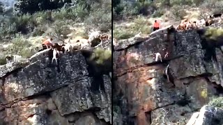 12 perros y un venado caen por un barranco durante una cacería [upl. by Avihs]