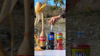 What happens if you mix CocaCola with Mentos 🔥🔥 cokevsmentos experiment mentos [upl. by Stoughton]