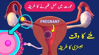 Sperm Egg Fertilization Process Pregnancy kaise Hoti Hai Pregnancy Ovulation Implantation [upl. by Enoryt]