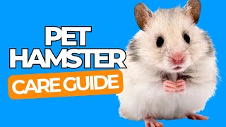 PET HAMSTER CARE 101  Happy Pet Hamster Guide for Beginners [upl. by Sellihca]