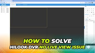 How To Fix Hilook DVR Live View Issue in Web Browser [upl. by Nosnhoj]