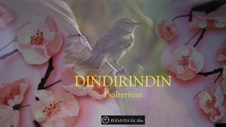 DINDIRINDIN [upl. by Zeret507]