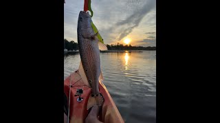 Marsh Fishing Wilmington NC [upl. by Ultan330]