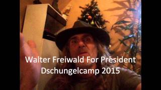 Dschungelcamp 2015 Angelina Heger Dschungelcamp verlassen Ich bin ein Star holt mich hier raus [upl. by Colville231]