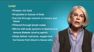 The Lymph System and How it Works [upl. by Welles]