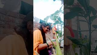 pyar ho gaya hai hum se  radha chauhan delhi short vairal video tag comedy like [upl. by Nenney]