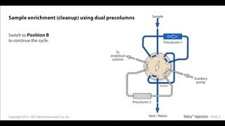 Valco sample enrichment using dual precolumns [upl. by Raphaela]