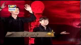 Ali Shanawar amp Ali Jee Channel Rec  Akbar Mera Pyara Tha ARY [upl. by Gradey188]