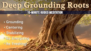 Deep Grounding Roots 15Minute Guided Meditation [upl. by Aranaj]