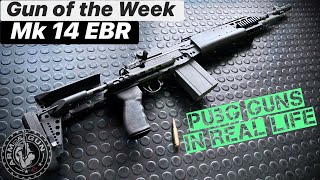 Mk14 EBR  PUBG Guns in Real Life  Gun of the Week 38 [upl. by Darreg409]