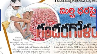 Guntur mirchi market rate today  21092024 [upl. by Yellah]