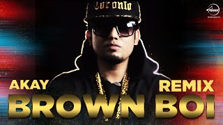 Brown Boi Remix  AKay  Punjabi Song Collection  Speed Records [upl. by Yttel703]