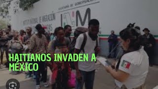 haitianos invaden a mexico migración masiva de haitianos [upl. by Balough733]