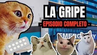 LA GRIPE episodio completo meme de gatos [upl. by Kopple16]