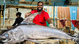 KASIMEDU🔥KUMAR 60KG BIGGEST KOLA FISH CUTTING VIDEO  RR PARTY KASIMEDU FISHERMAN⚓️ [upl. by Schoenburg878]