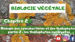 Biologie végétale chapitre 2  Biologie des cyanobactéries et des thallophytes   les thallophytes [upl. by Gilbert329]