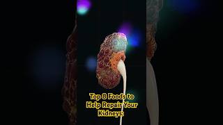 Top 8 Foods to Help Repair Your Kidneys A Simple Guide to Kidney Health [upl. by Sukey]