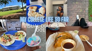 My College Life So Far Visual Diaries 001🩵 [upl. by Eillas745]