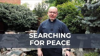 Searching for Peace  Fr Andys Weekly Message [upl. by Bocock671]