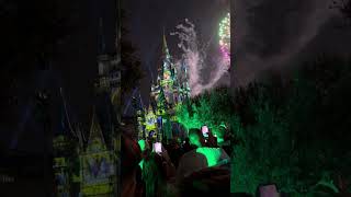 Full Magic Kingdom Firework Show [upl. by Velvet867]