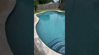 Toscano Pool Plaster  Stonescapes Mini Pebble  Pool Remodel [upl. by Hedley]