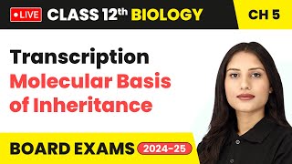 Transcription  Molecular Basis of Inheritance  Class 12 Biology Chapter 5  live [upl. by Packston]