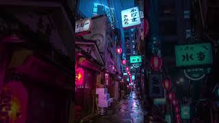 Rainy Night in a Tokyo Alleyway [upl. by Stanton]