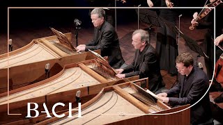 Bach  Concerto for three harpsichords in D minor BWV 1063  Mortensen  Netherlands Bach Society [upl. by Emarie]