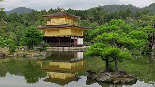 Kinkakuji Golden Temple in Kyoto Japan [upl. by Petula]