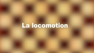 Locomotion des arthropodes [upl. by Sainana44]