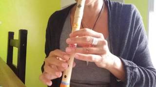 tin whistle for beginners the butterfly irisches Lied [upl. by Grondin701]