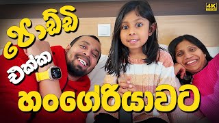 ස්විඩනයෙ සිට හංගේරියාවේ ගෙදරට ගිය දවස Travel to Hungary from Sweden with a kid  Family Sinhala vlog [upl. by Mungam380]