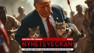 Ingrid amp Maria Nyhetsveckan 293  Katter för Trump romska rådet återvandring på gång [upl. by Lian]