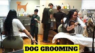 DOG GROOMING DAY 1  SAZONDEPUERTORICO [upl. by Hannahc]