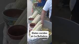 Elotes cocidos en La Bufadora Ensenada [upl. by Idell]