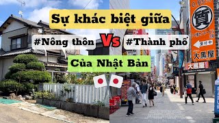 444  Sự Khác Biệt Giữa Nông Thôn Và Thành Phố Của Nhật Bản  Cuộc Sống Ở Nhật  Đức Thư Vlogs [upl. by Ydnolem]