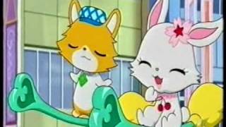 JewelPet [upl. by Rawna]