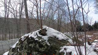 26 Sprawling Acres Callicoon NY Sullivan County [upl. by Statis]