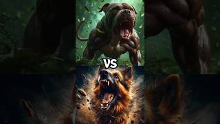 Pitbull VS Strongest Dogs [upl. by Kirre]