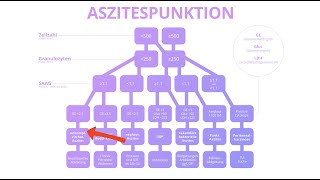 Aszites Langfassung inkl Algorithmus [upl. by Ariak]