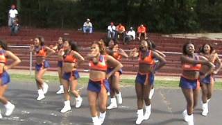 Virginia State University 2008 Woo Woos Cheerleaders Clip V [upl. by Ecnerwal708]