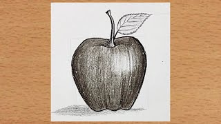 How to draw a realistic Apple Apple drawing easy steps  Pencil sketch [upl. by Marrilee54]