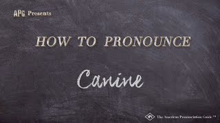 How to Pronounce Canine Real Life Examples [upl. by Enilesor]