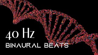 40 Hz  Gamma Waves for Focus  Concentration  Memory  Binaural Beats  Focus Music [upl. by Aitekram]