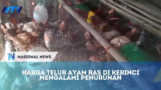 HARGA TELUR AYAM RAS DI KERINCI MENGALAMI PENURUNAN [upl. by Ainelec343]