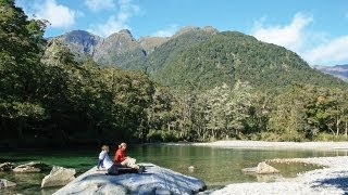 Milford Track Guided Day Walk  Real Journeys New Zealand [upl. by Donella405]