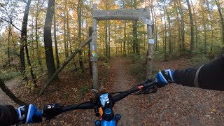 Flowtrailpark Mosbach Trail quotuffbassequot [upl. by Shulem]