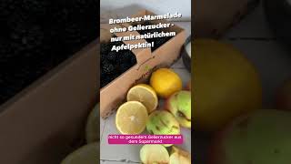 Brombeer Marmelade ohne Gelierzucker aus dem Thermomix [upl. by Kcid]