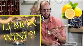 Cheapest Homemade Wine Ever Lemon Wine [upl. by Bartlett]